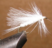 ���� CDC 019  caddis white � 12 long
